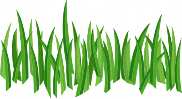 600x327 Grass In Png Web Icons Png