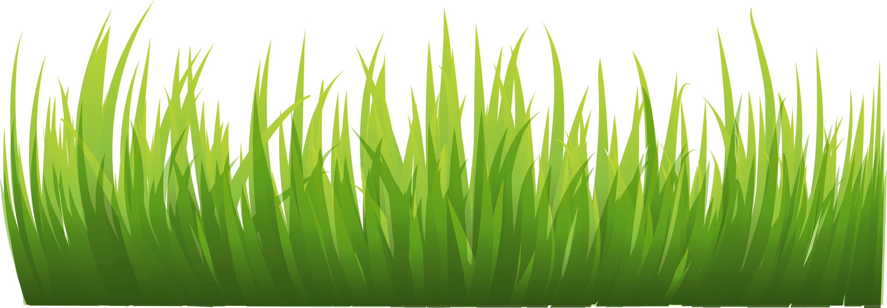 3059x1064 Grass Png Image Web Icons Png