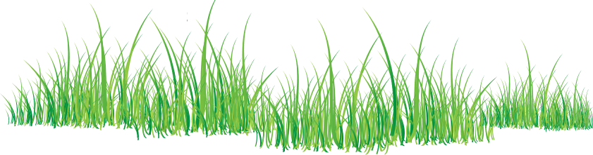 841x221 Grass Png Picture Web Icons Png