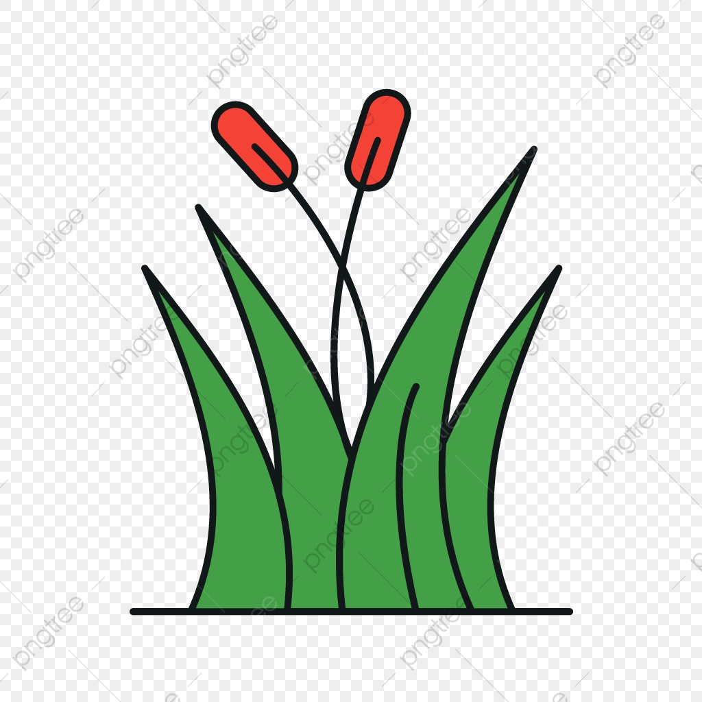 1024x1024 Vector Grass Icon, Grass, Plant, Illustration Png And Vector