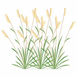 320x320 Free Icons Png