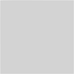 Gray 256x256 Gray