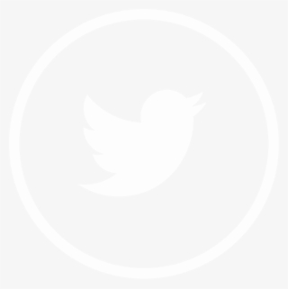 320x321 Twitter Icon Png, Transparent Twitter Icon Png Image Free Download