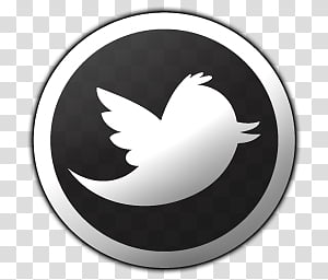 300x256 Twitter Icon Png Black Images