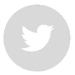 256x256 Twitter, Circle, Gray Icon