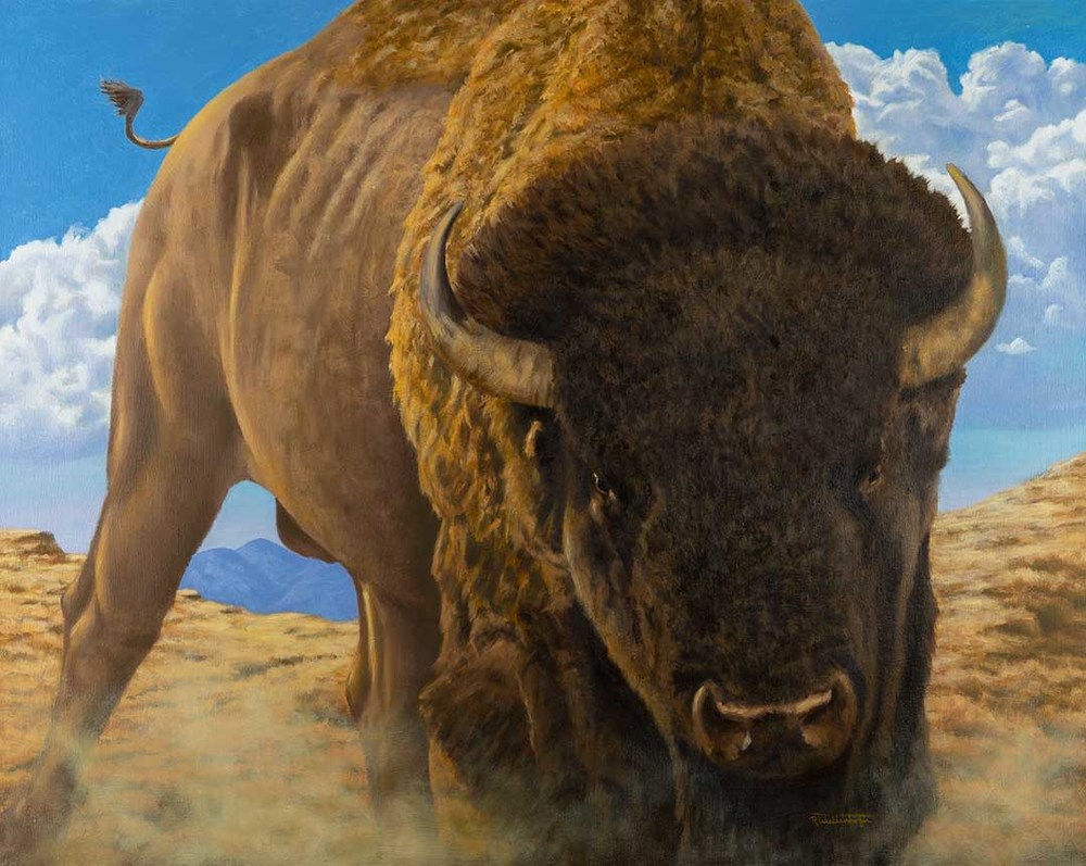 1000x797 Great Plains Icon