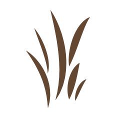 240x240 Lebala C Kwando Lebala, Luxury Safaris