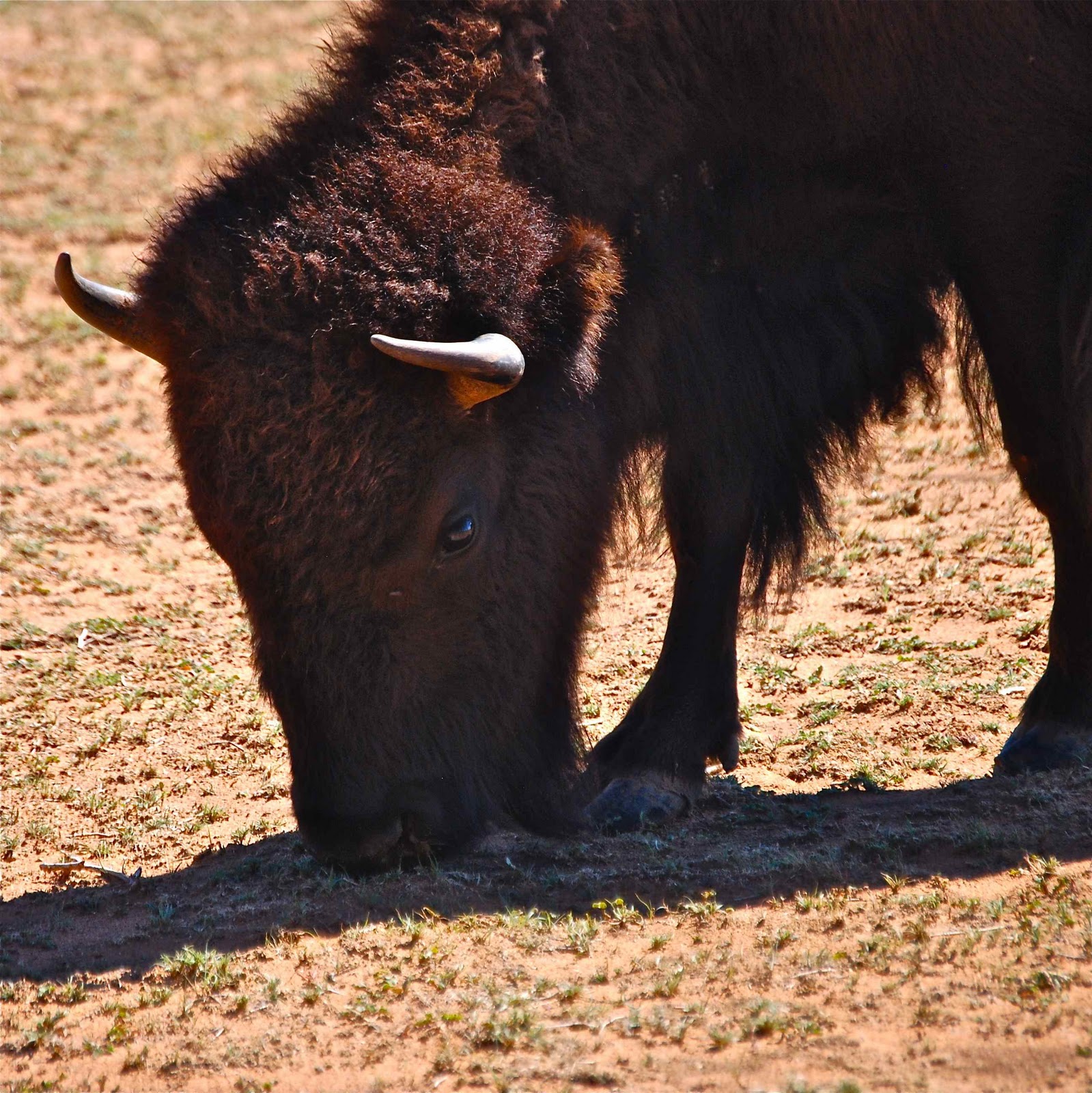 1599x1600 Poetry Of Spirit And Light