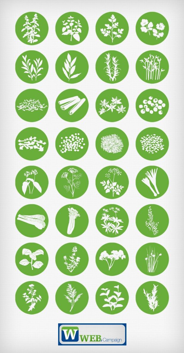 620x1188 Free Herbs Icons Pack Webs Campaign Icon Pack, Plant