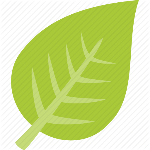 512x512 Green, Leaf Icon