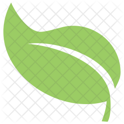 256x256 Green Leaf Icon Of Flat Style