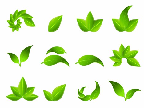 468x351 Green Leaf Icons Vectors Stock In Format For Free Download