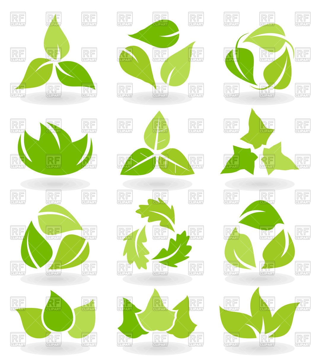 1062x1200 Green Leaf