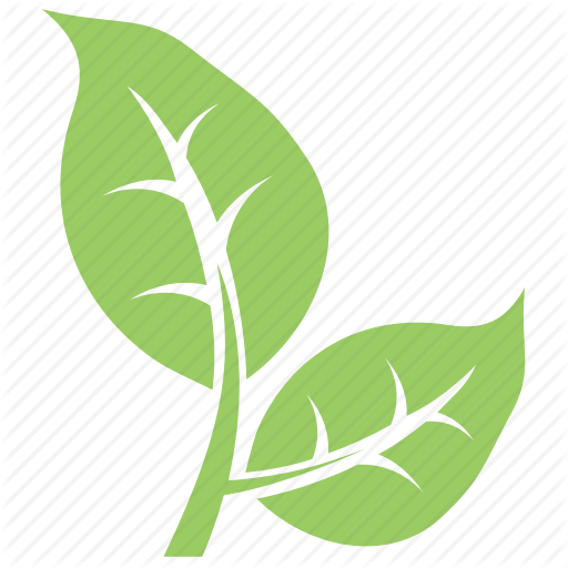 512x512 Bipartite Leaf, Divided Leaf, Eco Leaves, Green Leaves, Two Leaves