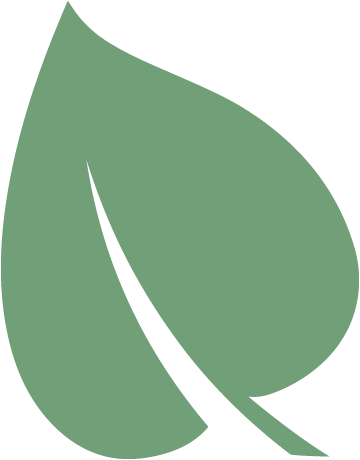 360x460 Green Leaf Icon