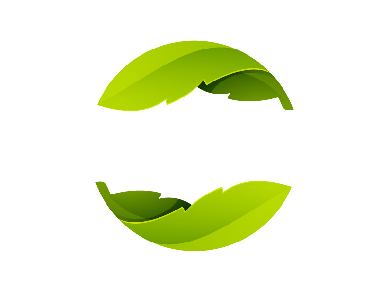 800x600 Green Leaves Icon