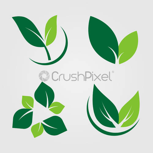 500x500 Set Green Leaves Icon,natural Label On White Backgroundvector