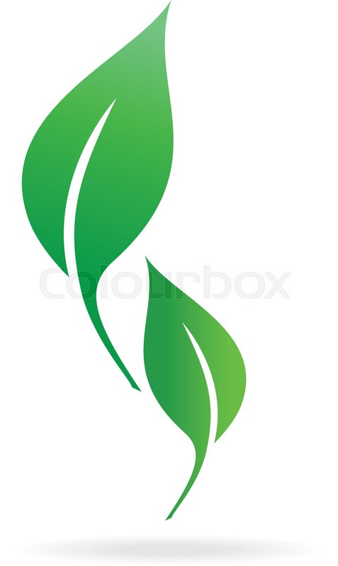 477x800 Flat Leaves Icons Green Leaf Icon Stock Vector Colourbox