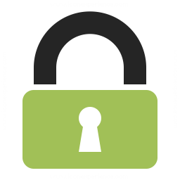 256x256 Lock Icon Iconexperience