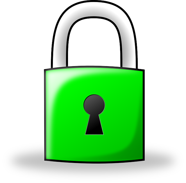 Is The Green Padlock Icon For Real 640x631 Is The Green Padlock Icon For Real