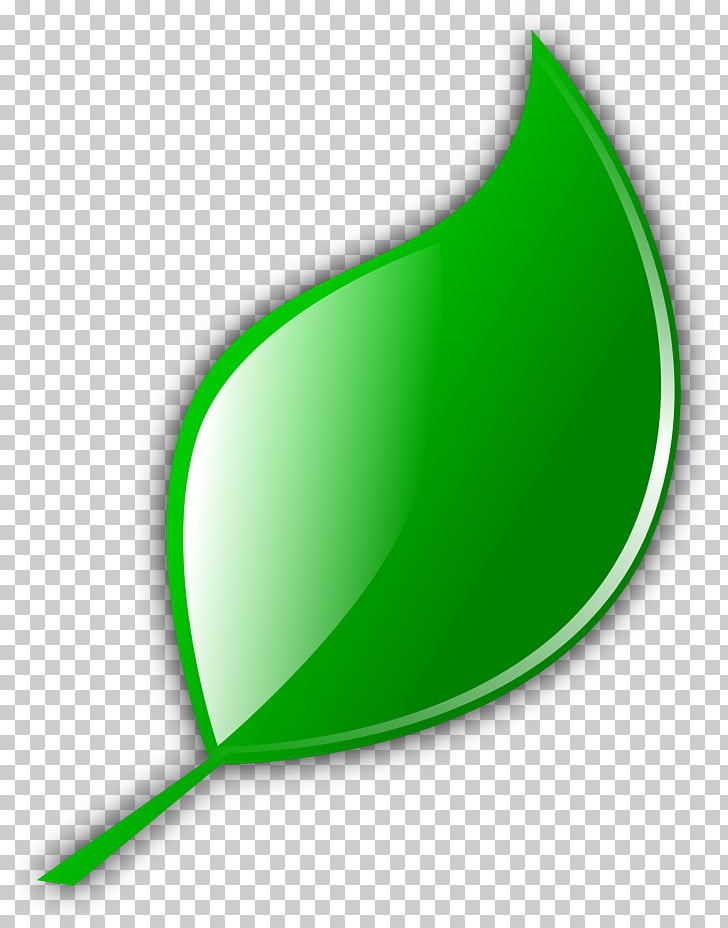 Green Tea Leaf Computer Icons Leaf, Leave Icon Green Leaf 728x928 Green Tea Leaf Computer Icons Leaf, Leave Icon Green Leaf