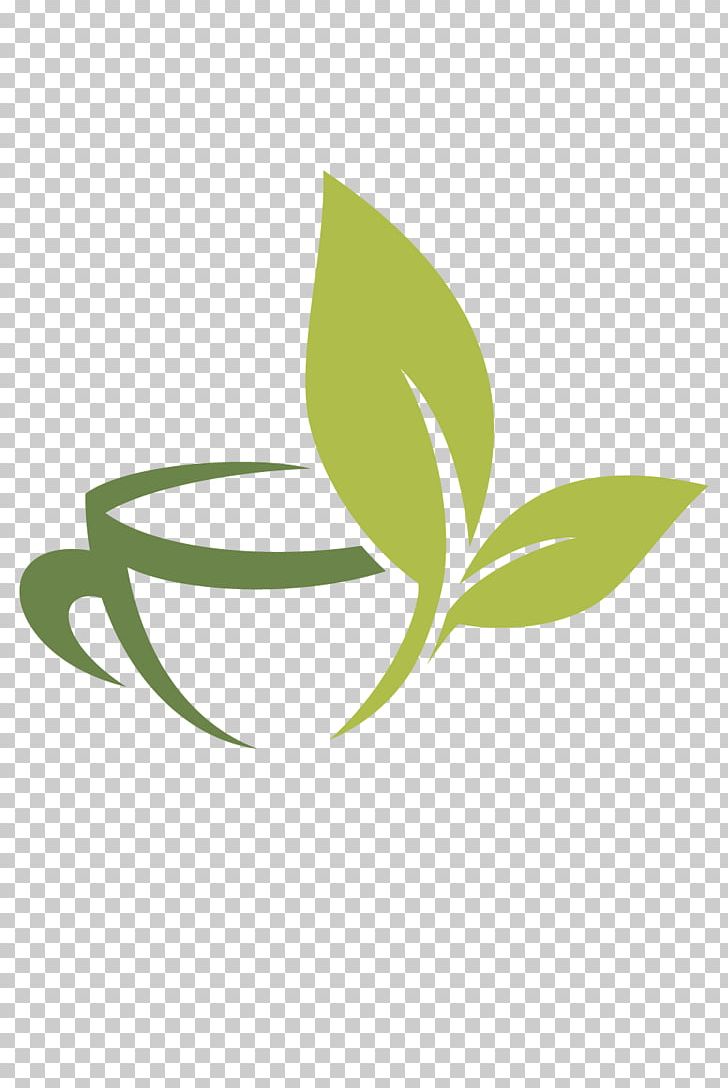 White Tea Green Tea Infusion Png, Clipart, Brand, Camera Icon 728x1088 White Tea Green Tea Infusion Png, Clipart, Brand, Camera Icon