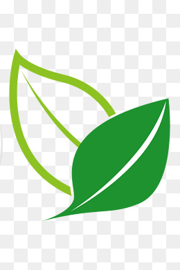 Green Tea Icon 260x391 Green Tea Icon