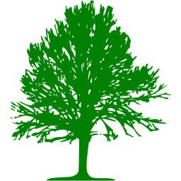 256x256 Green Tree Icon