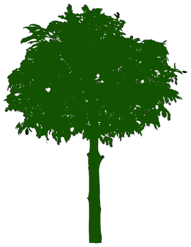 387x500 Green Tree Icon
