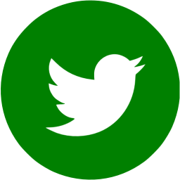 Green Twitter Icon 256x256 Green Twitter Icon
