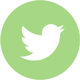 Guacamole Green Twitter Icon 256x256 Guacamole Green Twitter Icon