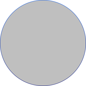 300x300 Basic Circle