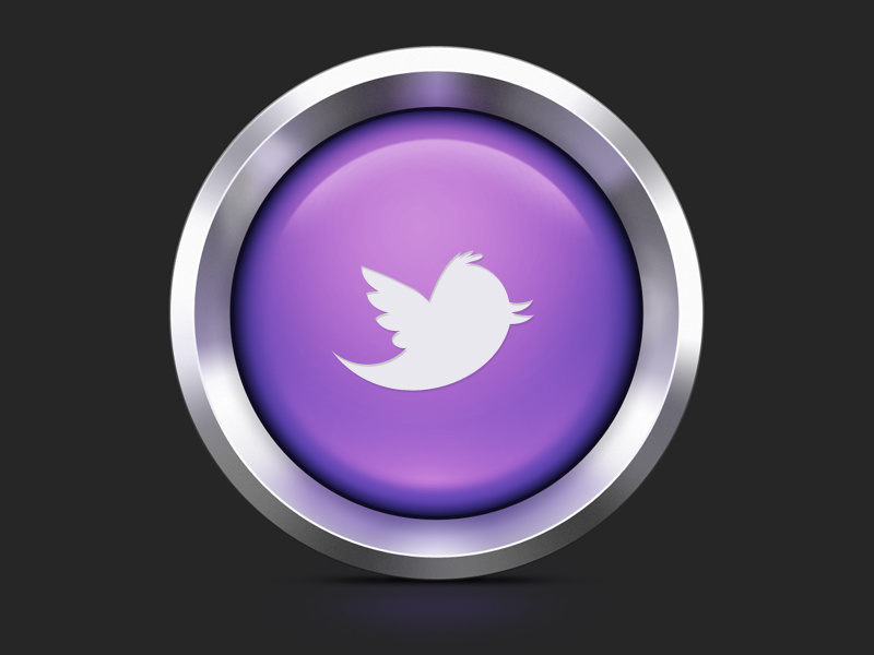 800x600 Twitter Icon