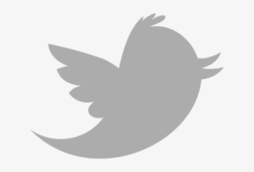 820x555 Twitter Logo Transparent Png