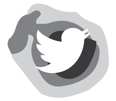 400x348 Twitter Grey Icon