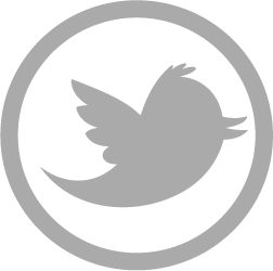 252x250 Twitter Icon Grijs