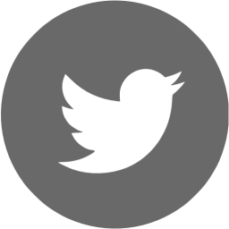 256x256 Dim Gray Twitter Icon