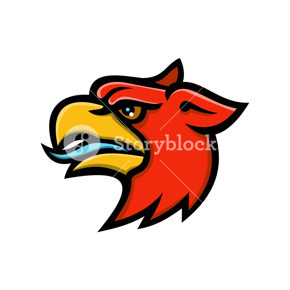 1000x1000 Mascot Icon Illustration Of Head Of A Griffin, Griffon, Or Gryphon
