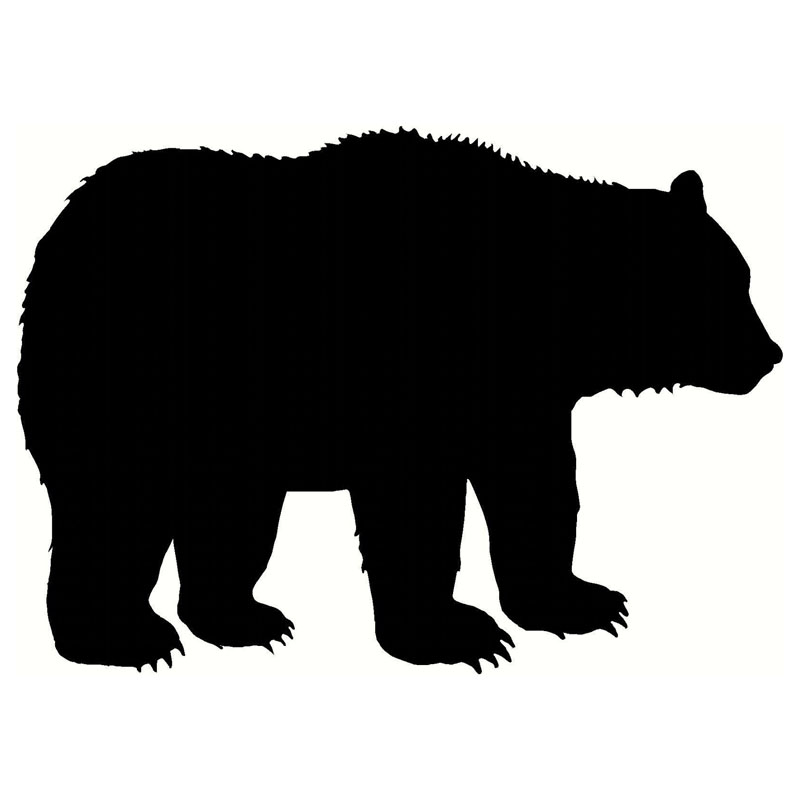 Grizzly Bear Icon