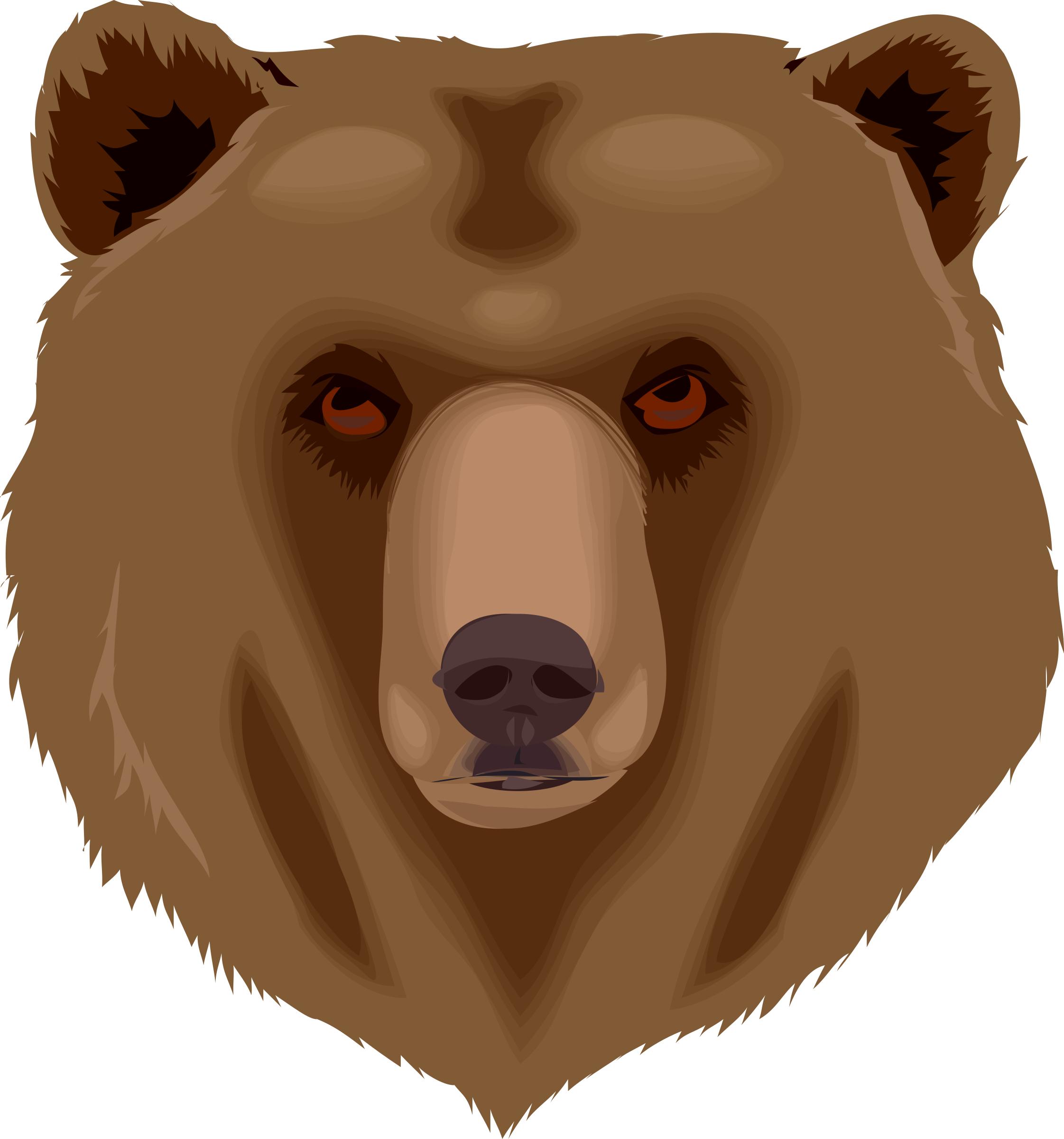 2243x2400 Architetto Orso Grizzly Bear Icons Png