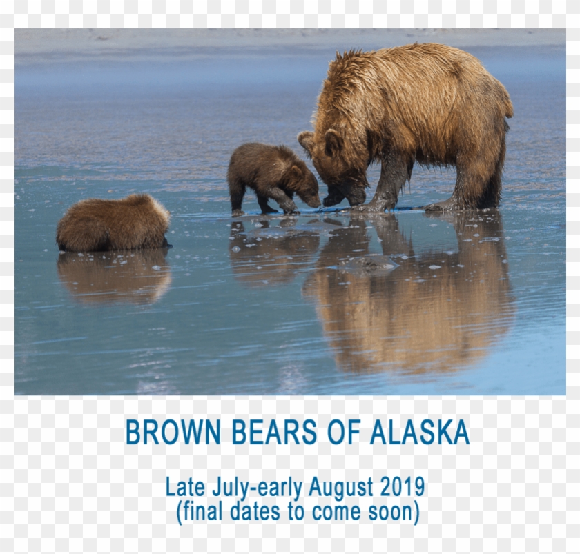 840x803 Click On An Icon Below And Share Away