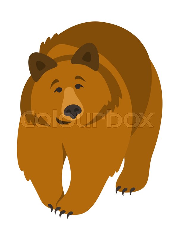 599x800 Cute Smiling Grizzly Bear Vector Stock Vector Colourbox