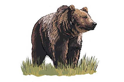 425x283 Grizzly Bear