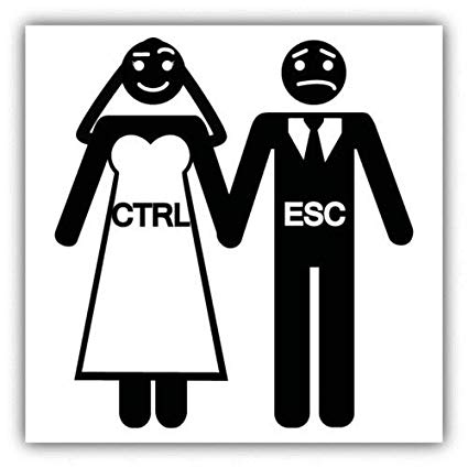 425x425 Craftmag Control Escape Bride Groom Icon Vinyl Sticker