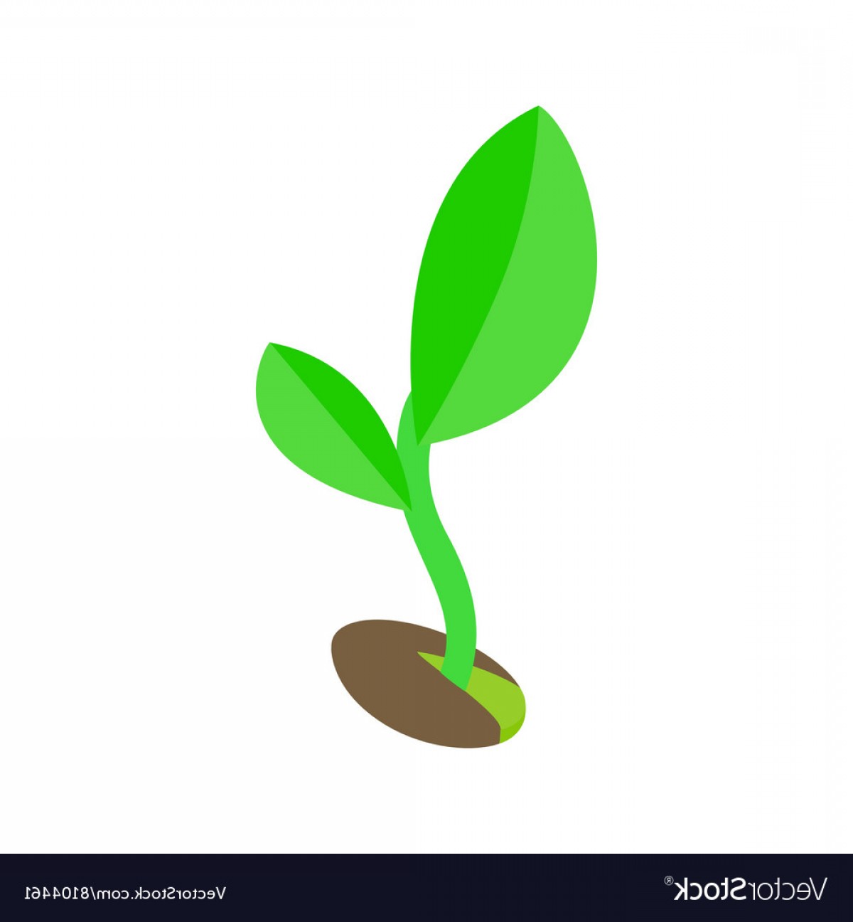 1200x1296 Green Sprout In The Ground Icon Vector Catchsplace