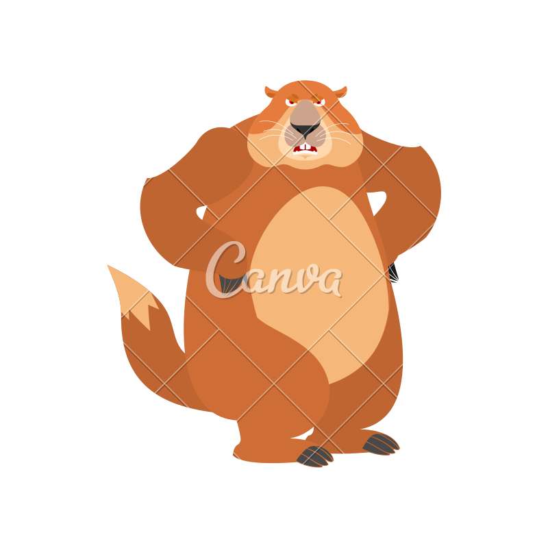 800x800 Groundhog Angry Icon