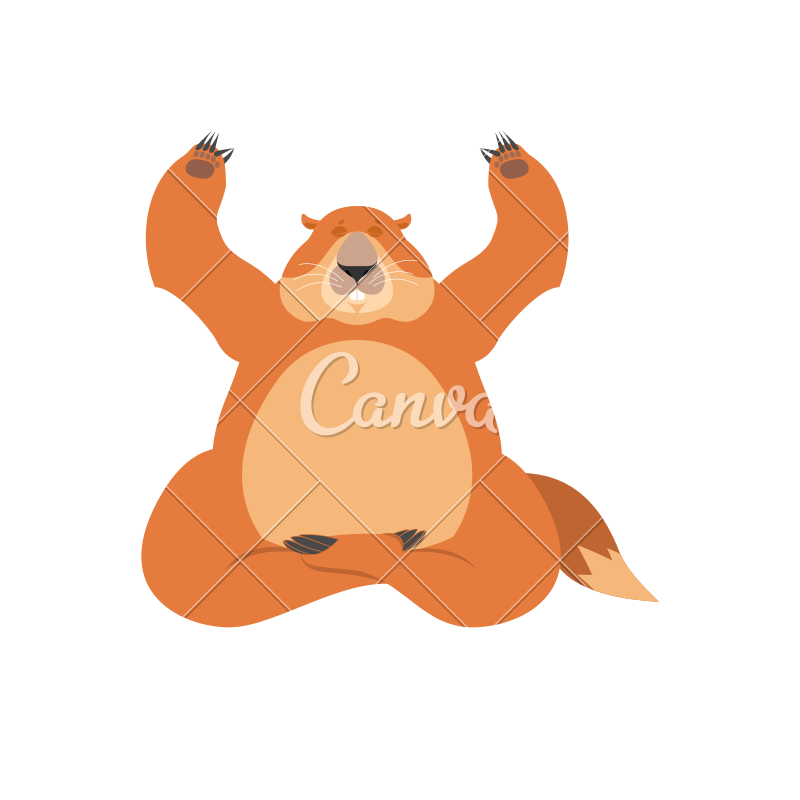 800x800 Groundhog Yoga Icon