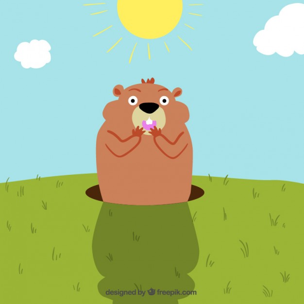 626x626 Groundhog Day Vector Free Download