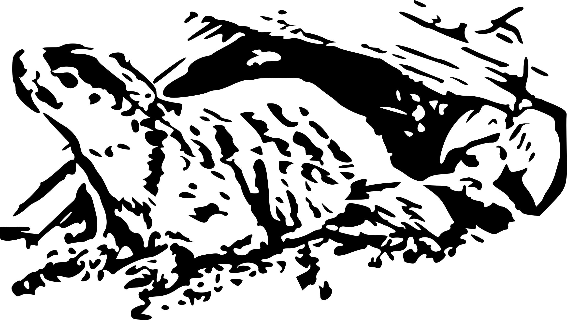 2307x1302 Happy Groundhog Day Icons Png