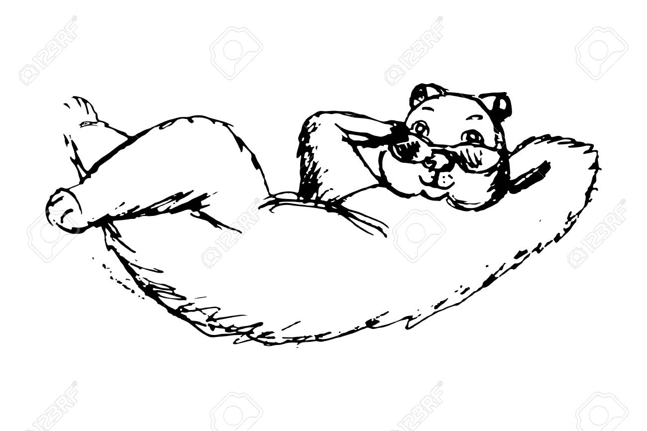 1300x866 Huge Collection Of 'groundhog Line Drawing' Download More Than